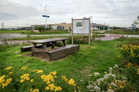 Innovatie demontabele bank tegen wateroverlast - Hessenpoort Zwolle