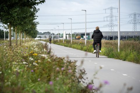 Innovatie Verhoogd fietspad als dijkvoorziening - Hessenpoort Zwolle