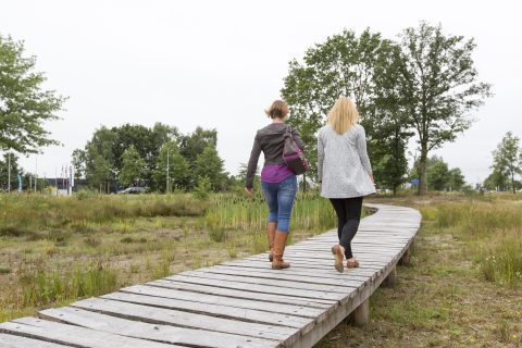 Innovatie Natuurinclusieve Zonnekade - De Run Veldhoven