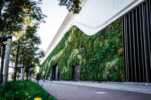 Innovatie XL koele groene gevel - Westfield Mall of the Netherlands Leidschendam